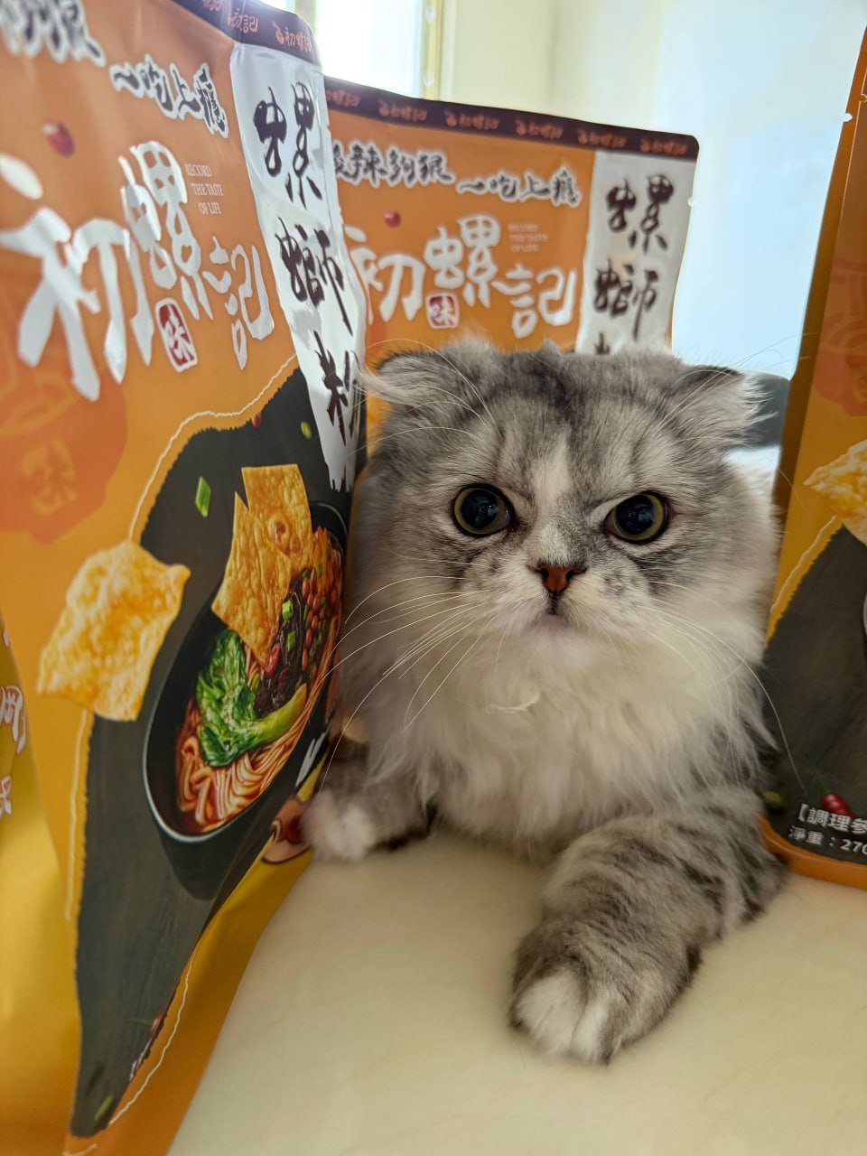 螺螄粉產品與桌邊貓咪同框的生活感實拍照片